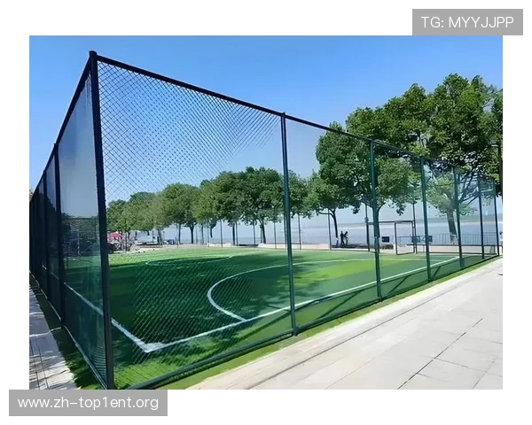专业体育场围网厂家，提供耐候耐腐蚀运动场围网产品，延长使用寿命保障安全